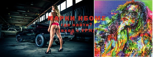 спайс Покачи