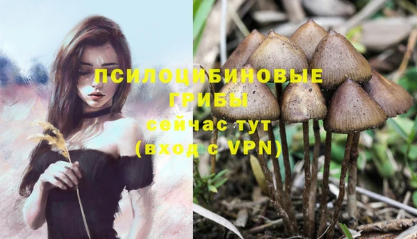 трава Покровск